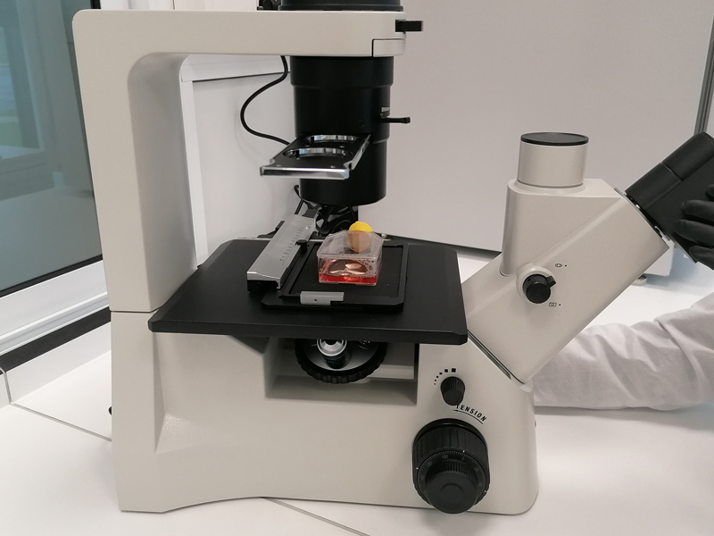 Mikroskop, który jest używany do obserwacji wirusów.